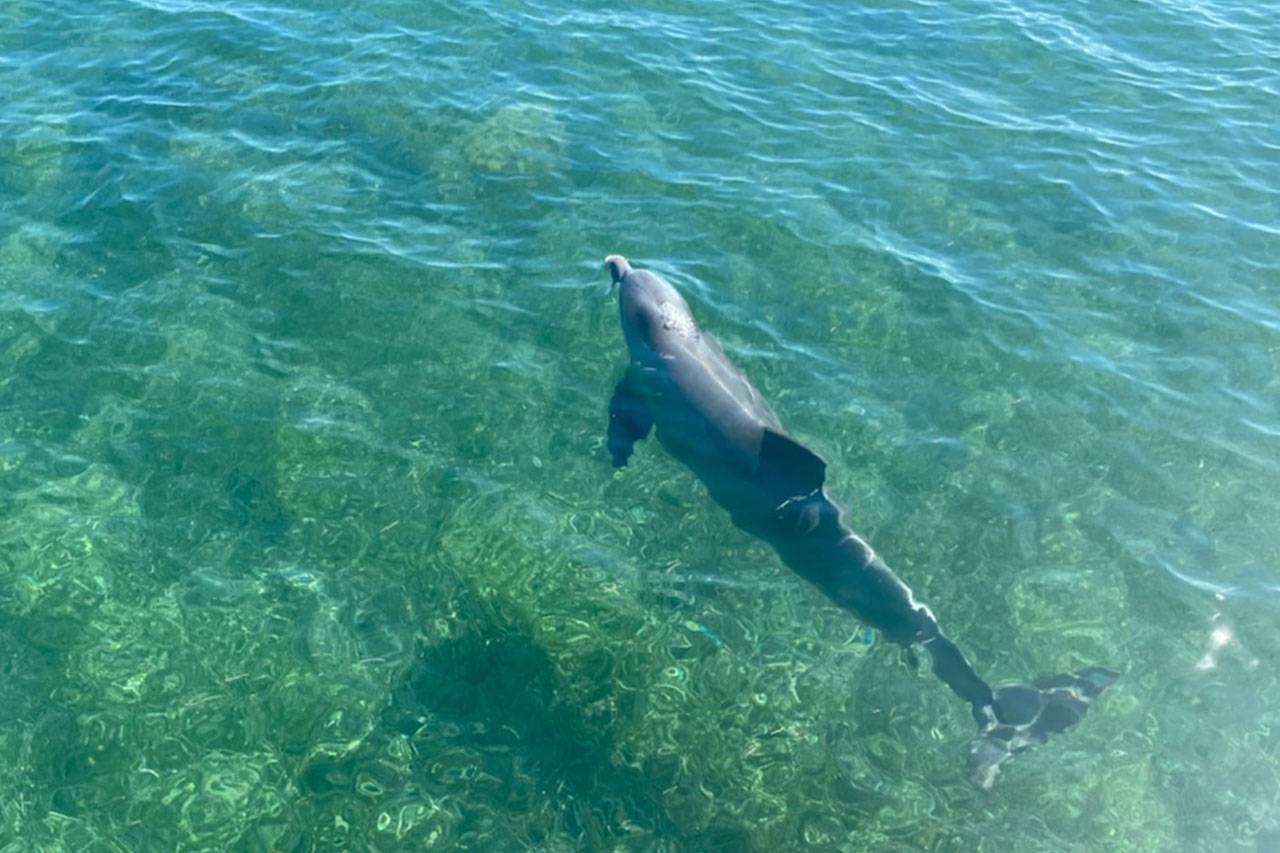 Key West Snorkeling Tours | Sail & Snorkel | Danger Charters