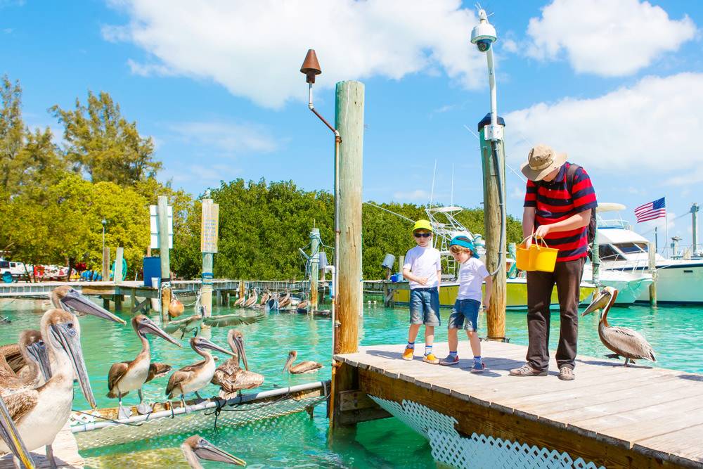 A man and two small children enjoying the wildlife in Key West